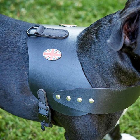 Britannia Leather Dog Harness