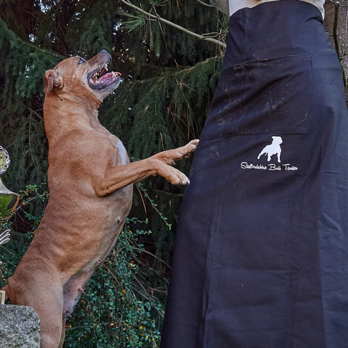 Staffie Exhibitor Apron Staffie Exhibitor Apron