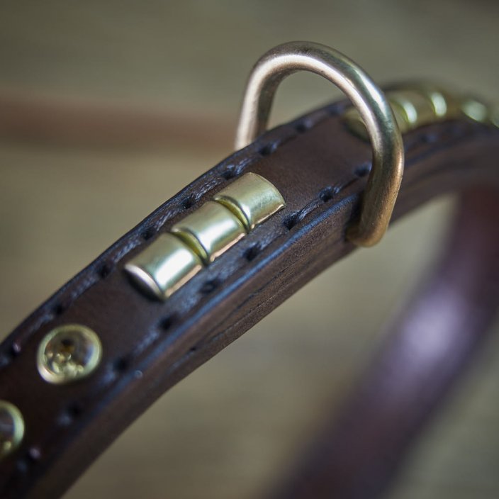 Shiny Alpha Classic Collar