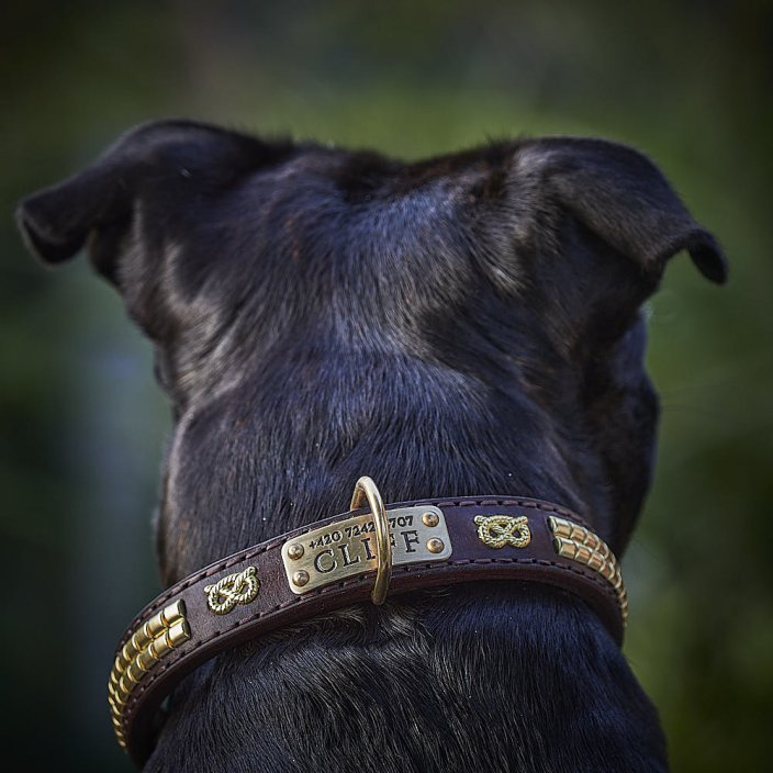 Big Clincher Classic Collar