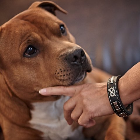 Bracelets en cuir Slade Czech : pièces cousues main avec ton propre style