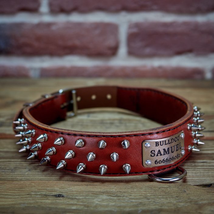 Hardcore Collar Hardcore Collar