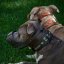 Whisper Muzzle