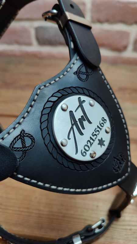 Jak se vyrábí psí postroj ve Slade Czech?