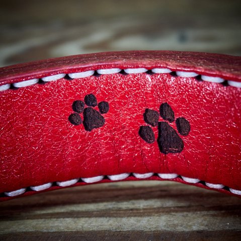 personalised dog collars