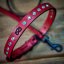 Glamourpup Collar and Lead Set