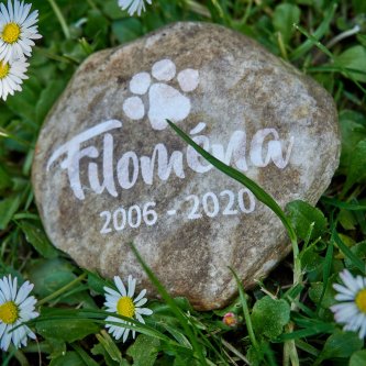 Pohřeb psa na zahradě: co ti hrozí a proč to lidi stejně dělají