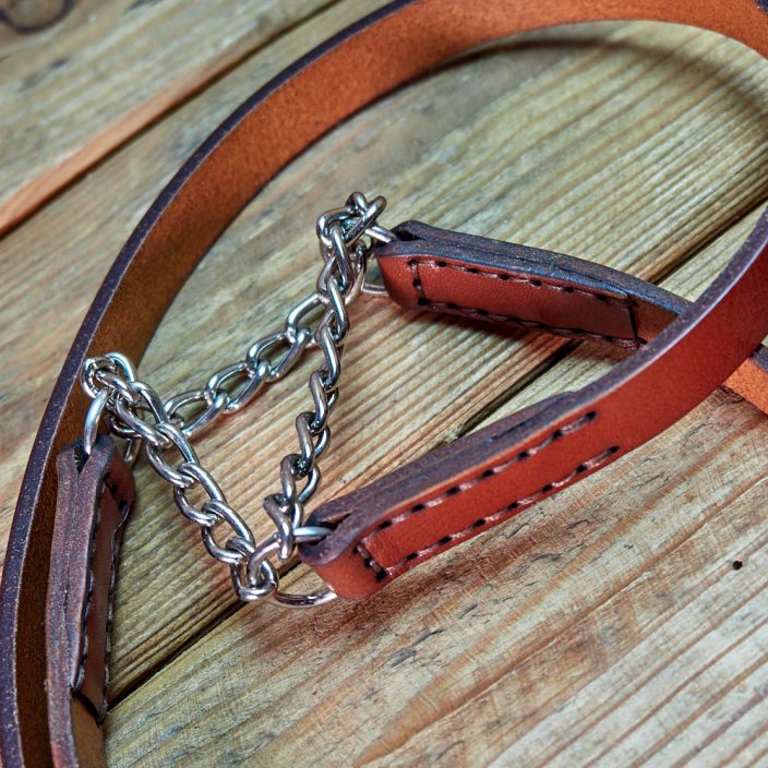 Hashtag Set of Lead and Collar Hashtag Set of Lead and Collar