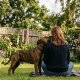 Why Does My Dog Lean Against Me?