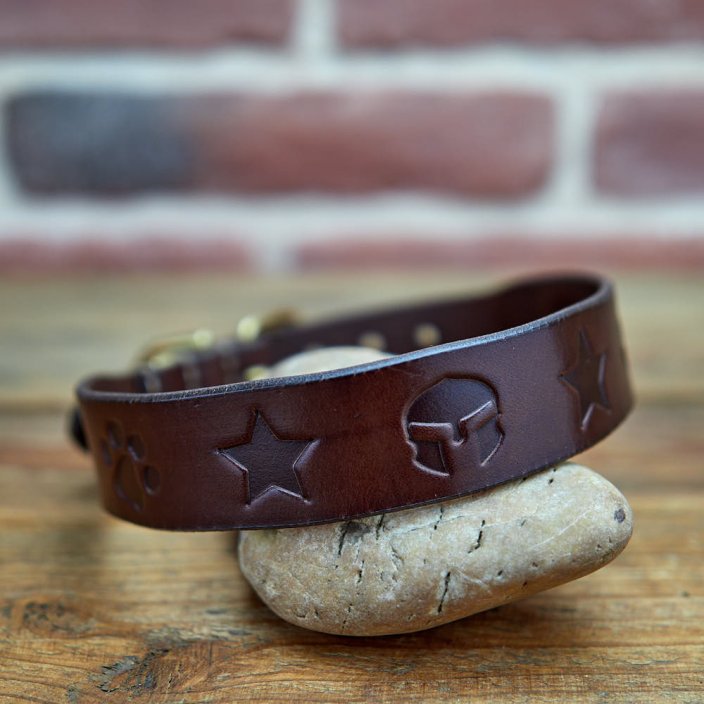 Classic Custom Coinage Collar