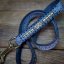 Badger´s Strip Lead