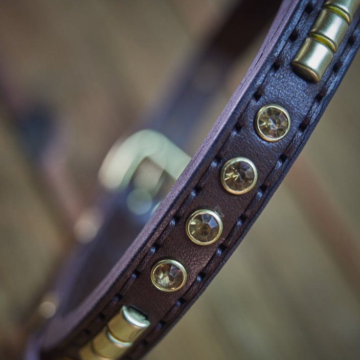 Shiny Alpha Classic Collar