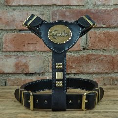 Gladiator Gladiator