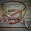 Ensemble collier et laisse chiot Slim Tendon Ensemble collier et laisse chiot Slim Tendon
