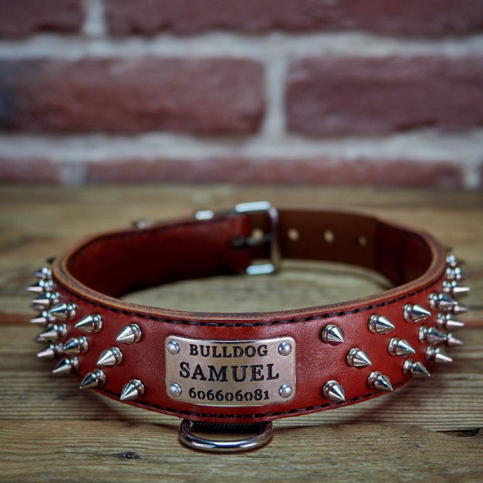 Hardcore Collar Hardcore Collar