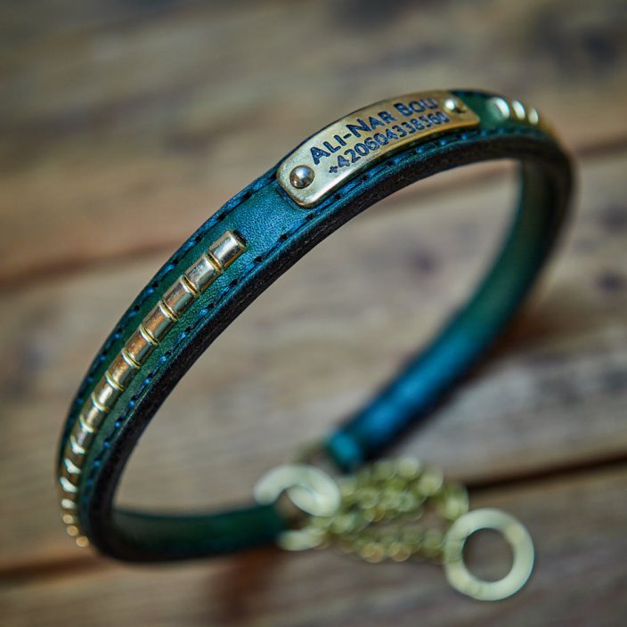 Rattlesnake Half Check Collar