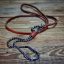 Snake Show Collars