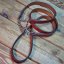 Hashtag Set of Lead and Collar Hashtag Set of Lead and Collar