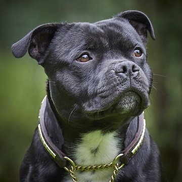 Stahovací obojky Stahovací obojky