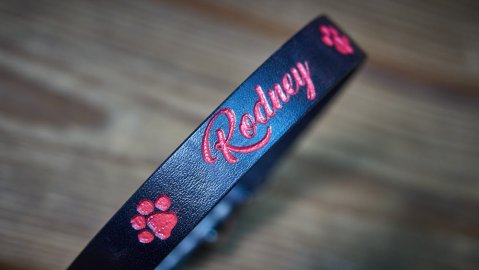 personalised dog collars