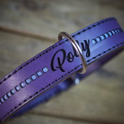 Classic Shine Paw Collar