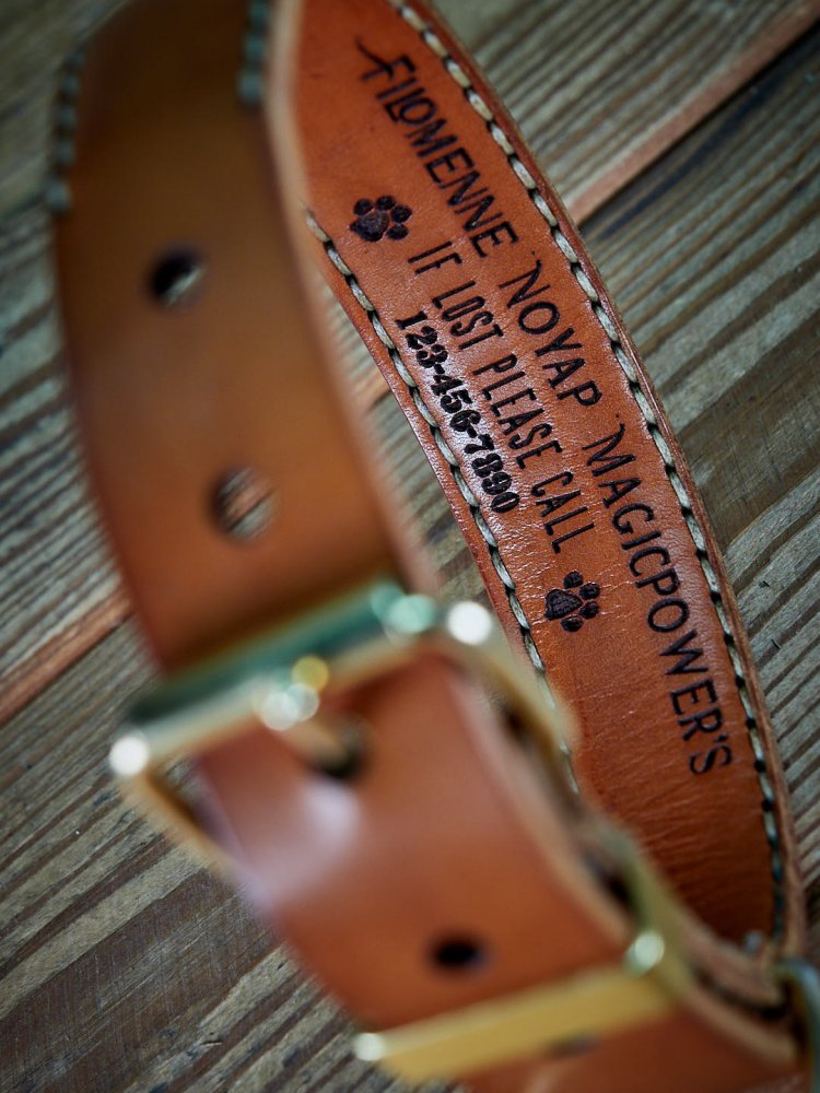 Personalised dog collars from Slade Czech