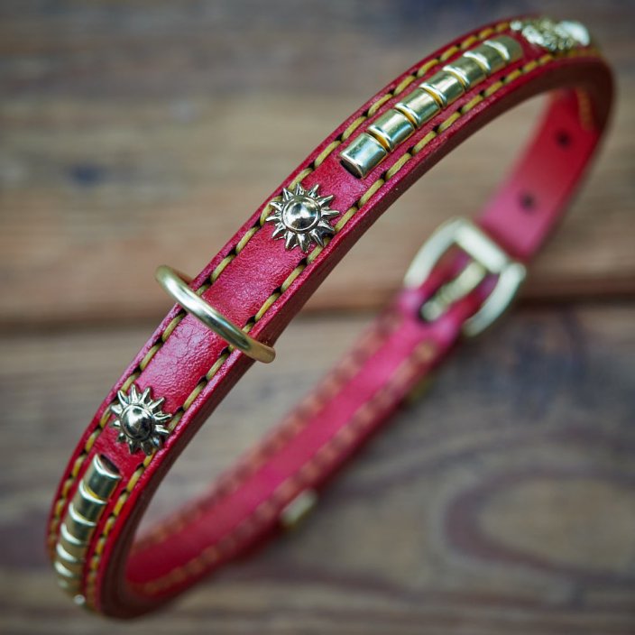 Devon Classic Collar