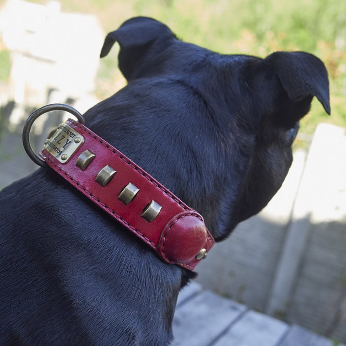Classic Ghost Tracker Collar