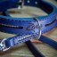 Classic Shine Paw Collar Classic Shine Paw Collar