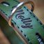 Classic Shine Paw Collar Classic Shine Paw Collar