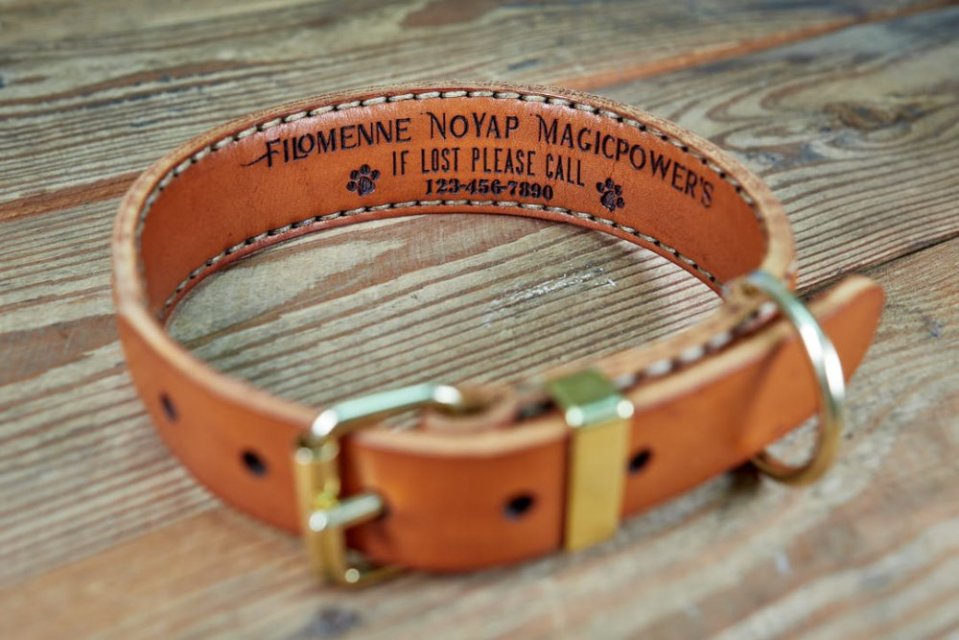 personalised dog collars