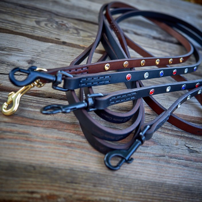 Collar and leash set Glitter Strap Collar and leash set Glitter Strap