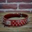 Hardcore Collar Hardcore Collar