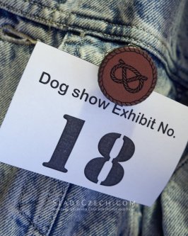 Show Number Clips & Pins: Hold It Tight, Keep It Stylish