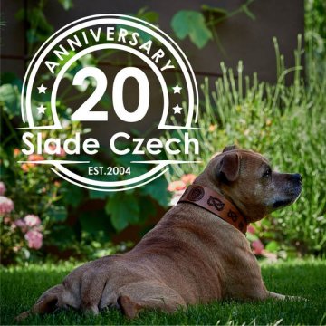 Slade Czech - Vingt ans ensemble 