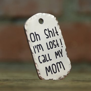 5 raisons d’offrir une médaille à son chien même pucé