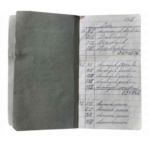 quand l’histoire rencontre le présent dans notre atelier