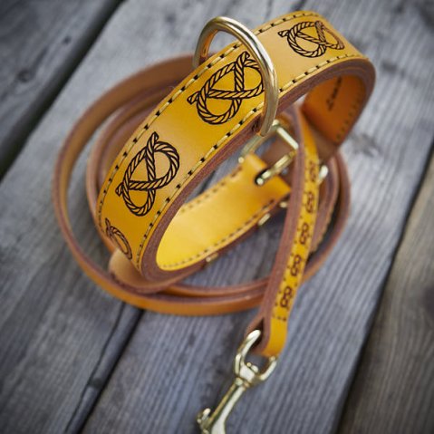 Proč mít k obojku ladící vodítko?