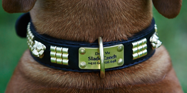 Dog tag
