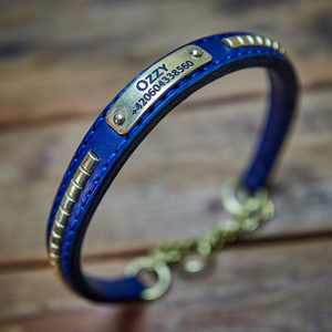 Rattlesnake Half Check Collar